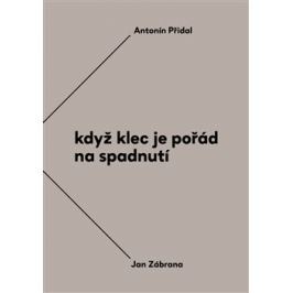 Když klec je pořád na spadnutí - Jan Zábrana, Antonín Přidal