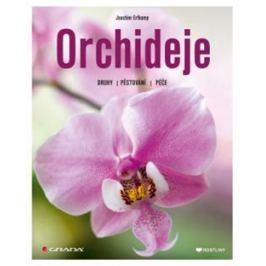 Orchideje - Joachim Erfkamp
