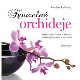 Kouzelné orchideje - Joachim Erfkamp