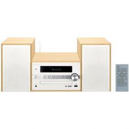 Pioneer X-CM66D-W bílý