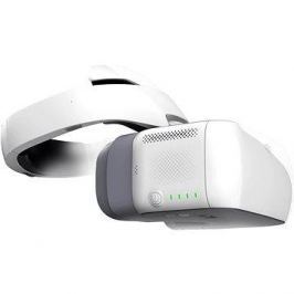 DJI Goggles
