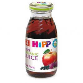 HIPP ŠŤÁVA BIO z červených plodů 200ml CZ8003