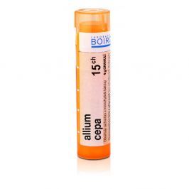 ALLIUM CEPA CH15 GRA.4G