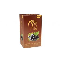 BIOGENA Ovocný čaj Černý rybíz a Lemongrass 20 sáčků