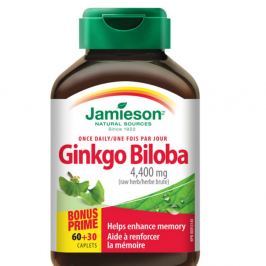 JAMIESON Ginkgo Biloba 90 tablet