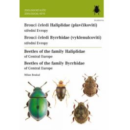 Brouci čeledi Haliplidae / Brouci čeledi Byrrhidae - Milan Boukal