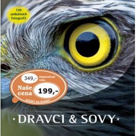 Dravci a sovy