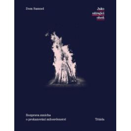 Jako sžírající oheň - Dom Samuel - e-kniha