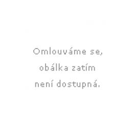 Almanach Labyrint 1998